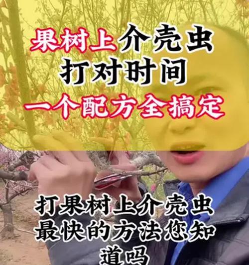 介壳虫的防治方法和有效措施有哪些？