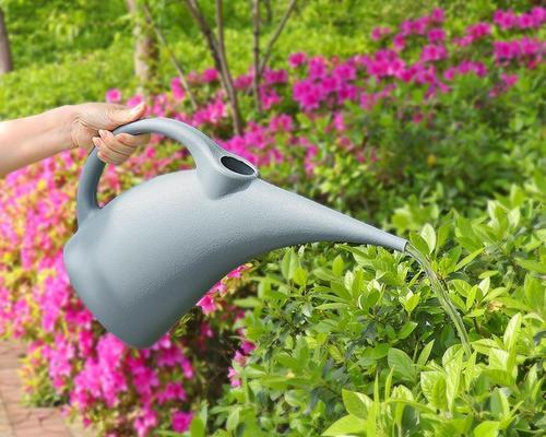 浇花用什么工具好？适合家庭使用的浇花工具推荐是什么？