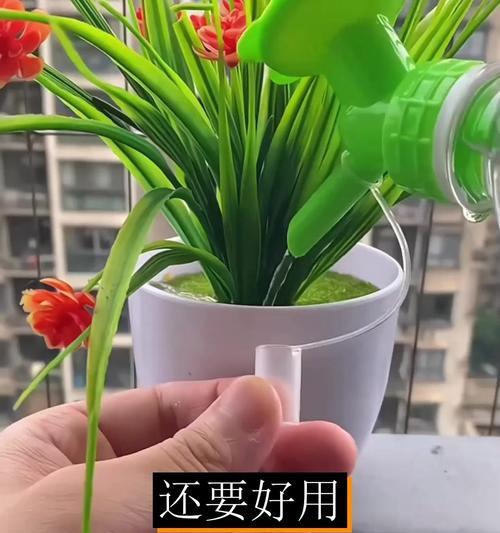 浇花用什么工具好？适合家庭使用的浇花工具推荐是什么？