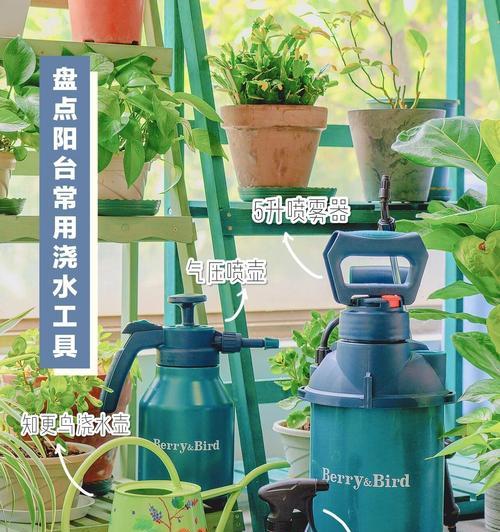 浇花用什么工具好？适合家庭使用的浇花工具推荐是什么？