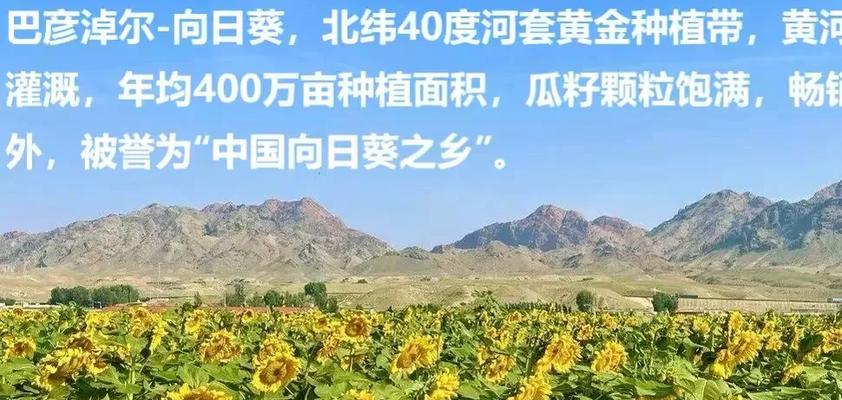 葵花应该什么时候种植？葵花种植的最佳时间和方法是什么？