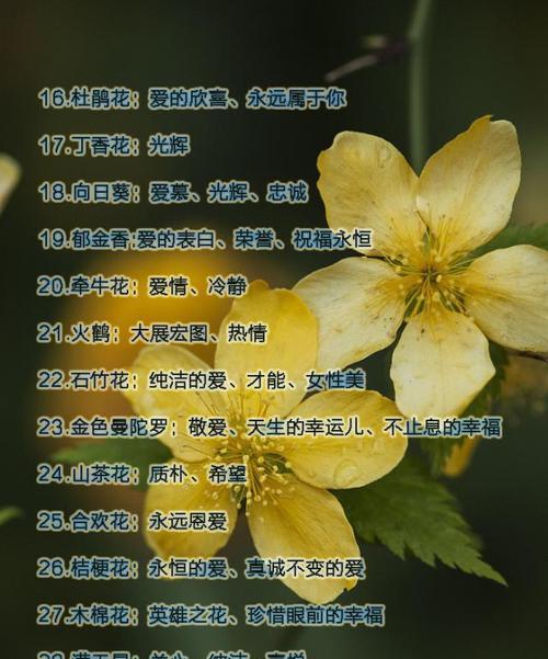 兰竹的养殖方法及管理要点是什么？
