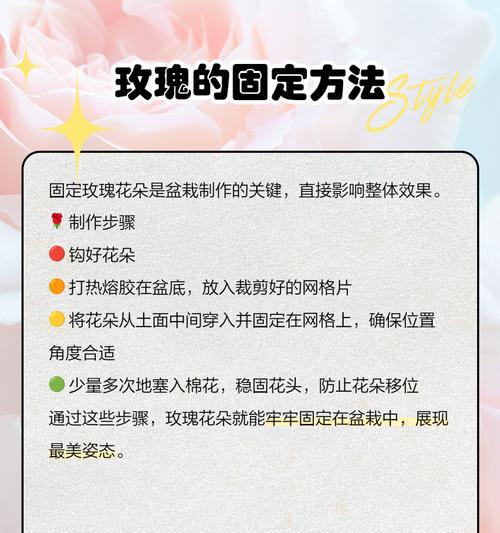 盆栽玫瑰花的家庭养护方法有哪些？
