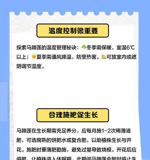马蹄莲夏季养护需要注意什么？
