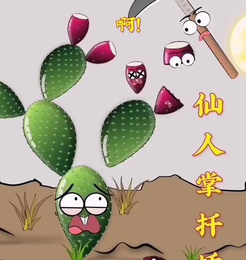 仙人指繁殖的正确方法和步骤是什么？