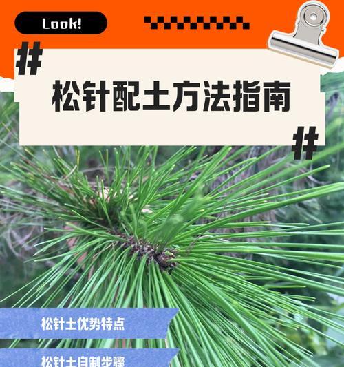 盆花松土的正确方法是什么？步骤有哪些？