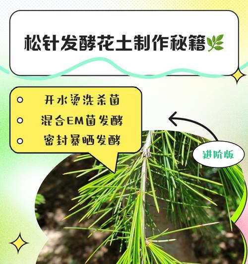 盆花松土的正确方法是什么？步骤有哪些？