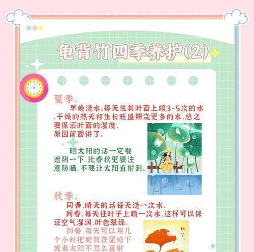 龟背竹修剪技巧和注意事项是什么？