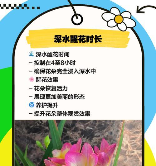 香雪兰怎么养殖？养殖香雪兰的正确方法是什么？