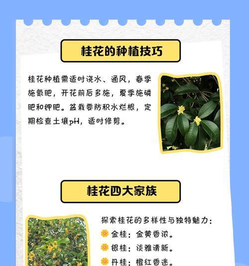 哪种桂花品种最耐寒？耐寒桂花品种的特点是什么？