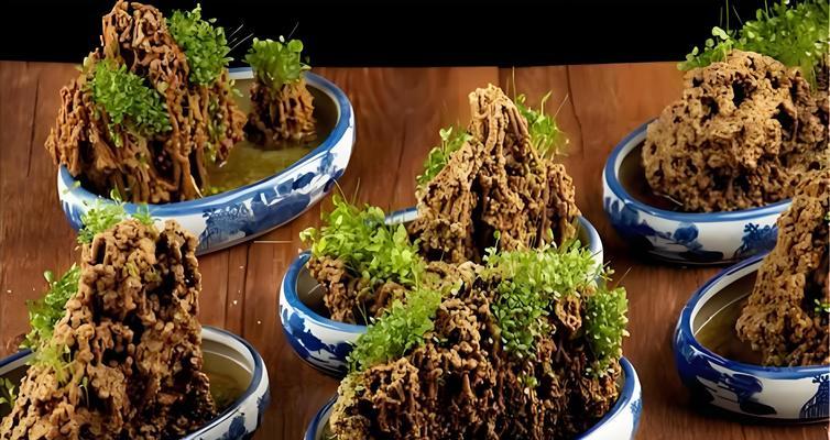 盆景草有多少种？盆景草品种的养护技巧是什么？