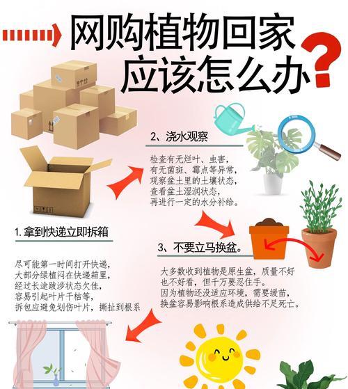 秋季种植哪些植物最合适？秋季植物种植的注意事项有哪些？