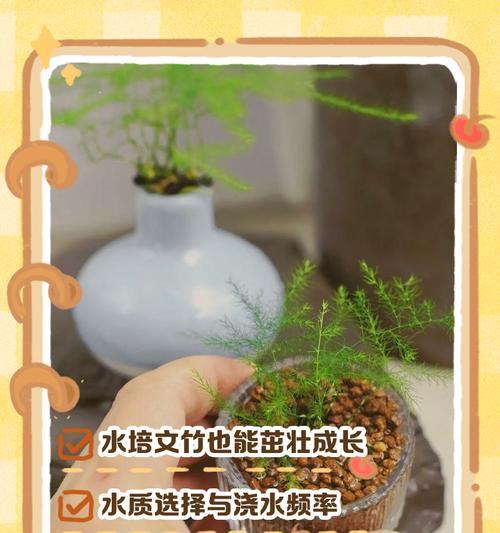 文竹怎么养矮？矮化文竹的技巧是什么？