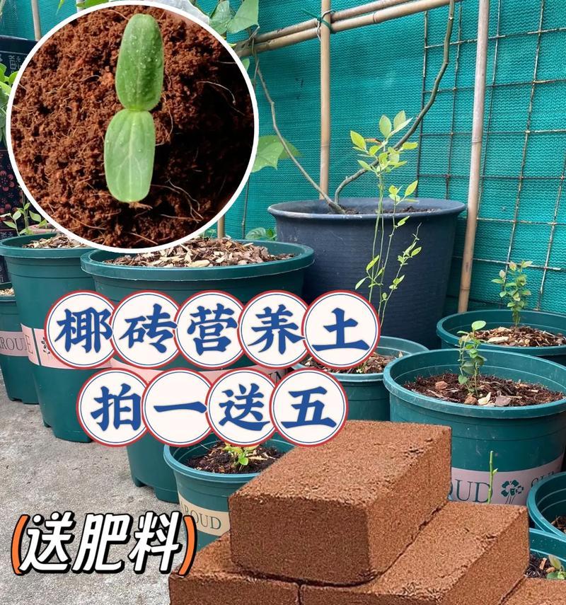 椰砖是什么材料制成的？椰砖在园艺中的用途是什么？