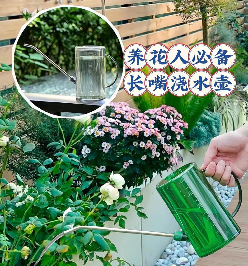 花卉浇水的最佳时间是什么时候？如何判断花卉是否需要浇水？