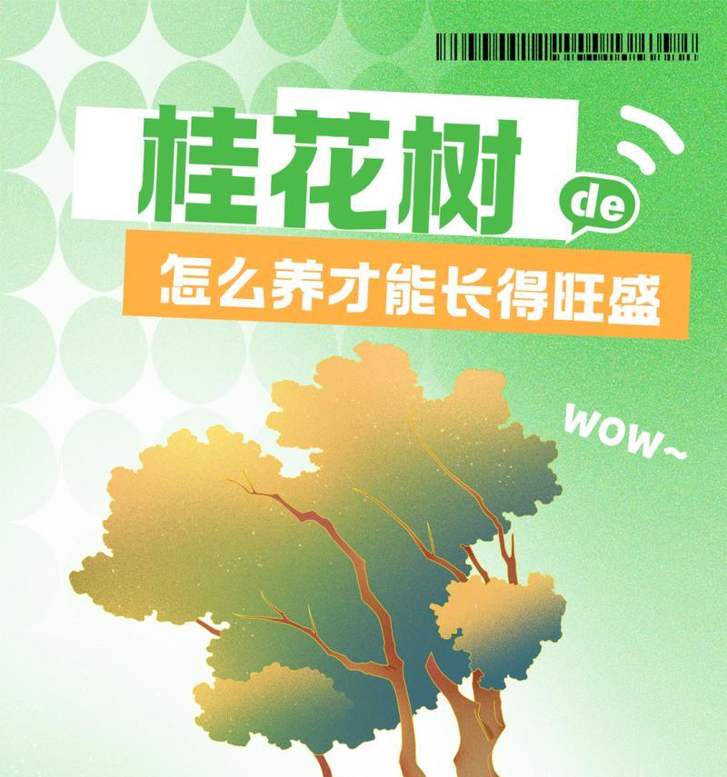 桂花多开花的秘诀是什么？