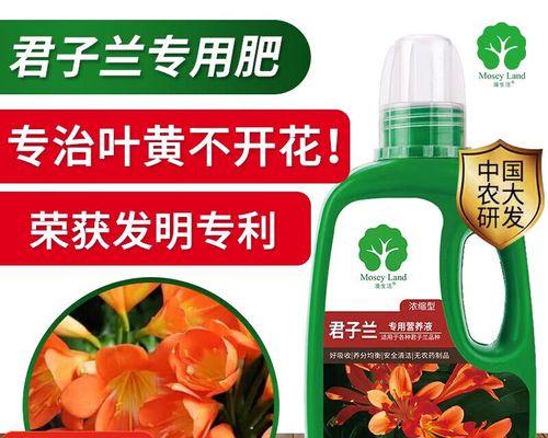 君子兰的施肥方法是什么？它需要哪些营养？