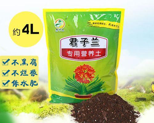 君子兰的施肥方法是什么？它需要哪些营养？