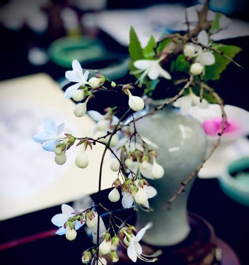 茉莉插花的正确方法是什么？怎样保持新鲜？