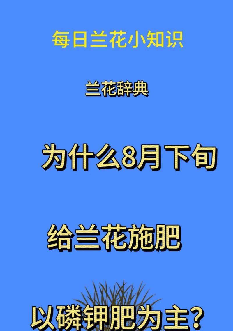 兰花施肥技巧：什么肥料最适合兰花？