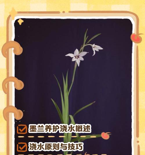 北方墨兰冬季养护方法是什么？