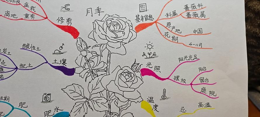 蔷薇月季的养护方法是什么？如何应对夏季高温？
