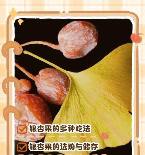 银杏繁殖的有效方法有哪些？