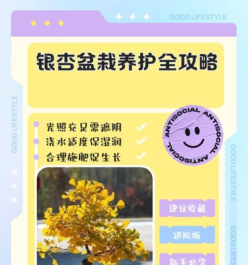 银杏繁殖的有效方法有哪些？