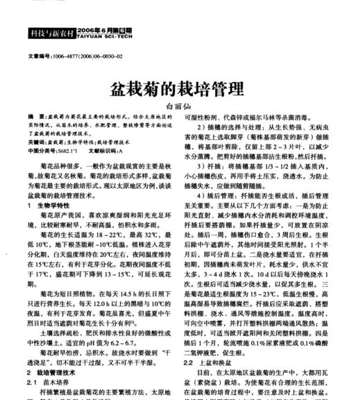 菊花换盆的最佳时机和步骤是什么？