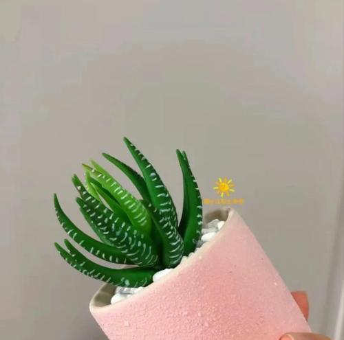 条纹十二卷的插法是什么？