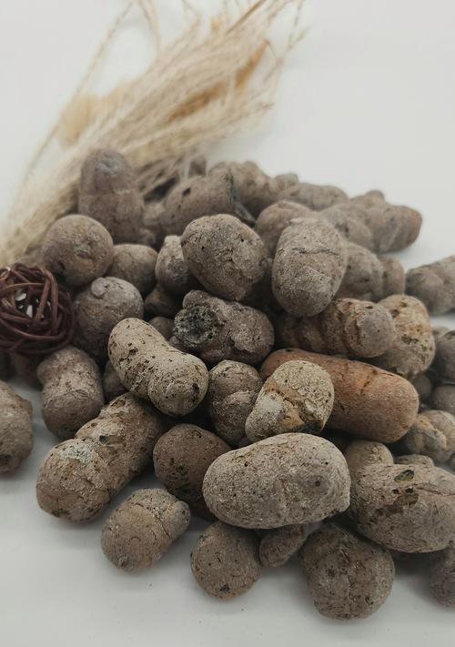 陶粒适合养什么花？使用陶粒的优势有哪些？