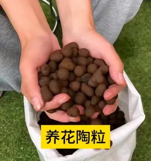 陶粒适合养什么花？使用陶粒的优势有哪些？
