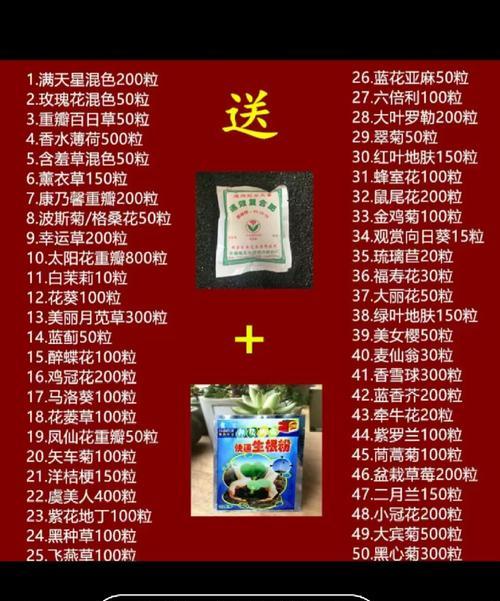 春季播种指南：哪些种子最适合春天种植？