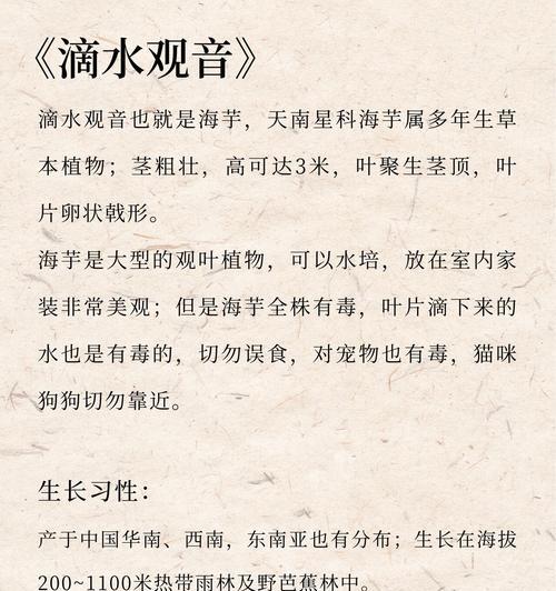 滴水观音的养护技巧和常见问题解答？