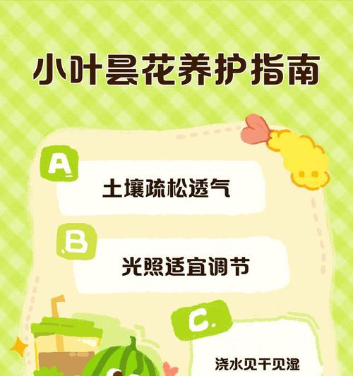 昙花浇水的正确频率是多少？