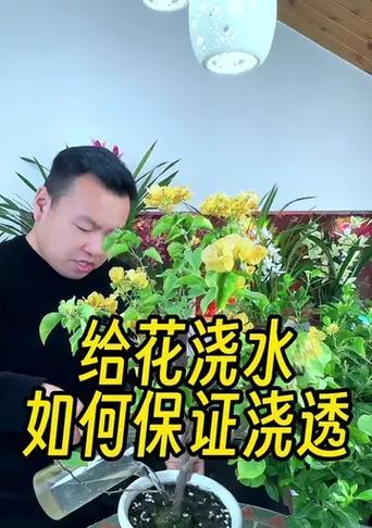 如何正确浇透植物的技巧和方法是什么？