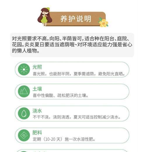 矾根种植需要注意什么？