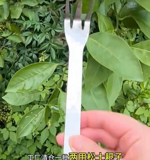 松土对植物有什么好处？