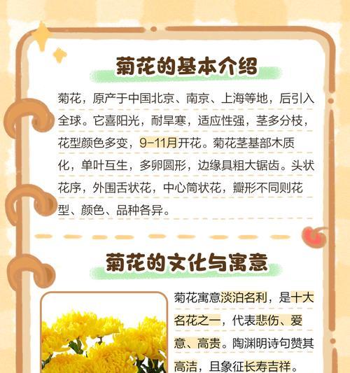 菊花有哪些品种？不同品种菊花的花型和颜色有何不同？