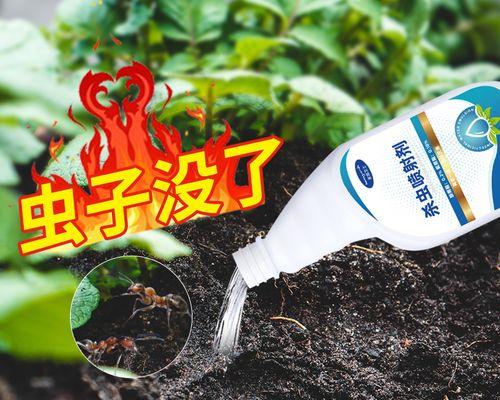 花卉出现飞虫怎么处理？有效驱虫方法有哪些？