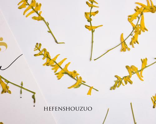 干花染色的方法和注意事项是什么？