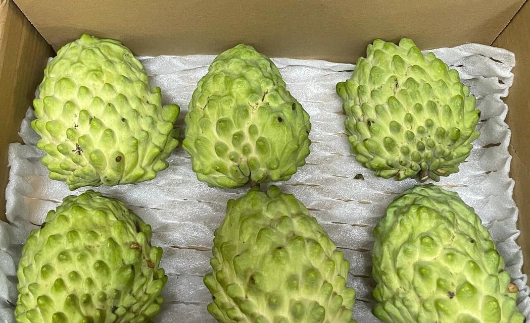 番荔枝有哪些品种？番荔枝品种的选购指南是什么？