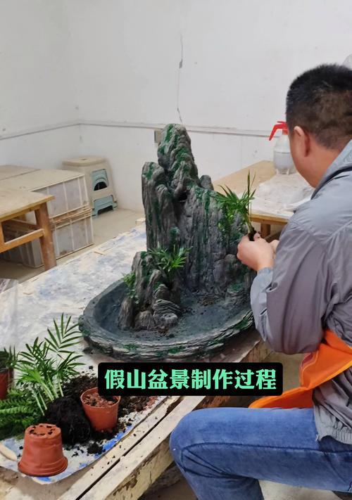 制作盆栽的步骤是什么？