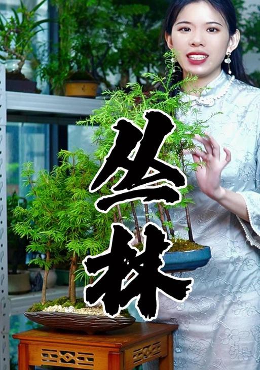 水杉的养殖条件和管理技巧有哪些？