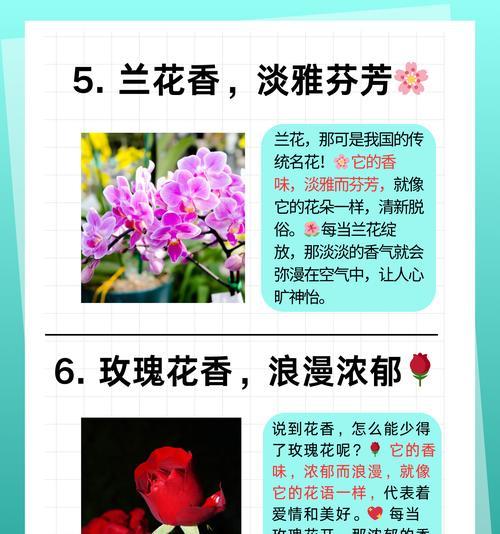 茉莉花有哪些常见品种？不同品种的香味有何不同？