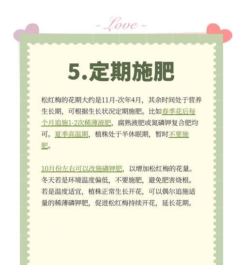 红梅花的养殖环境和护理要点有哪些？