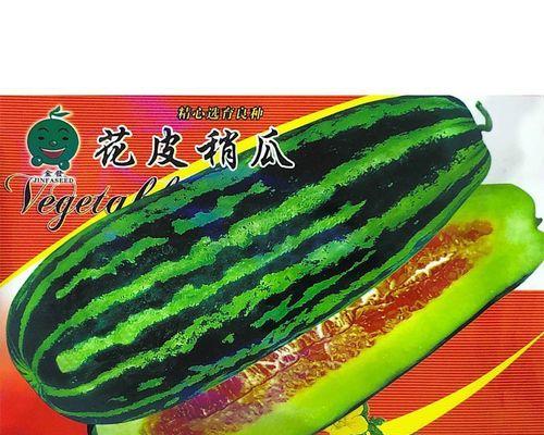 黑皮酥瓜催芽方法是什么？步骤和注意事项有哪些？
