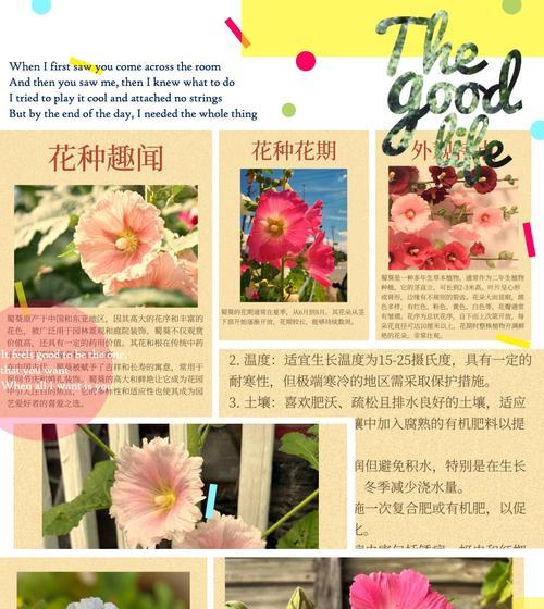 104朵花的寓意是什么意思？花语背后的深层含义探讨？