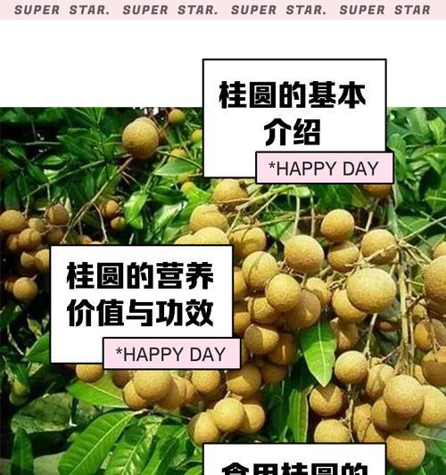 桂圆干子种植方法是什么？如何正确种植桂圆干子？