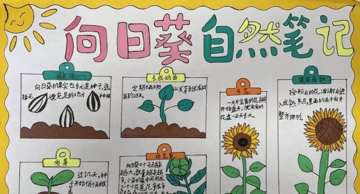 瓜子种子催芽的最佳方法是什么？步骤和注意事项有哪些？